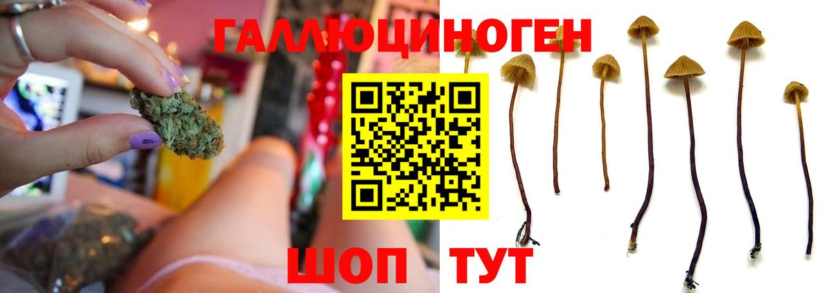 Галлюциногенные грибы Psilocybe  Галлюциногенные грибы мицелий  Глазов  Вход с VPN 
